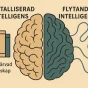 Kristalliserad intelligens: kunskap vi samlat på oss