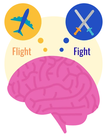 fight or flight - en del av det autonoma nervsystemet