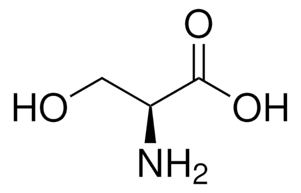 l-serin molekyl